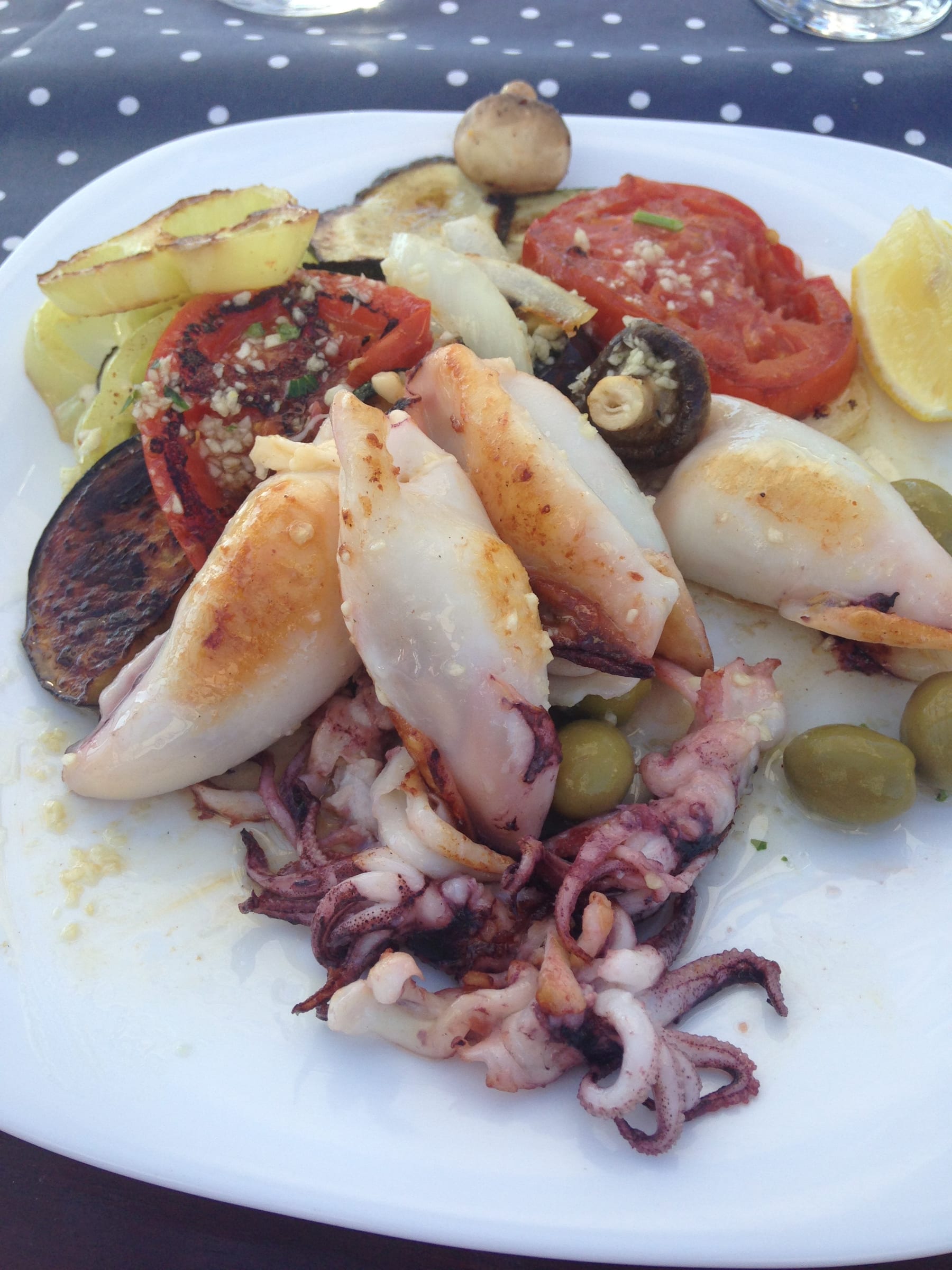 Dalmatian Squid