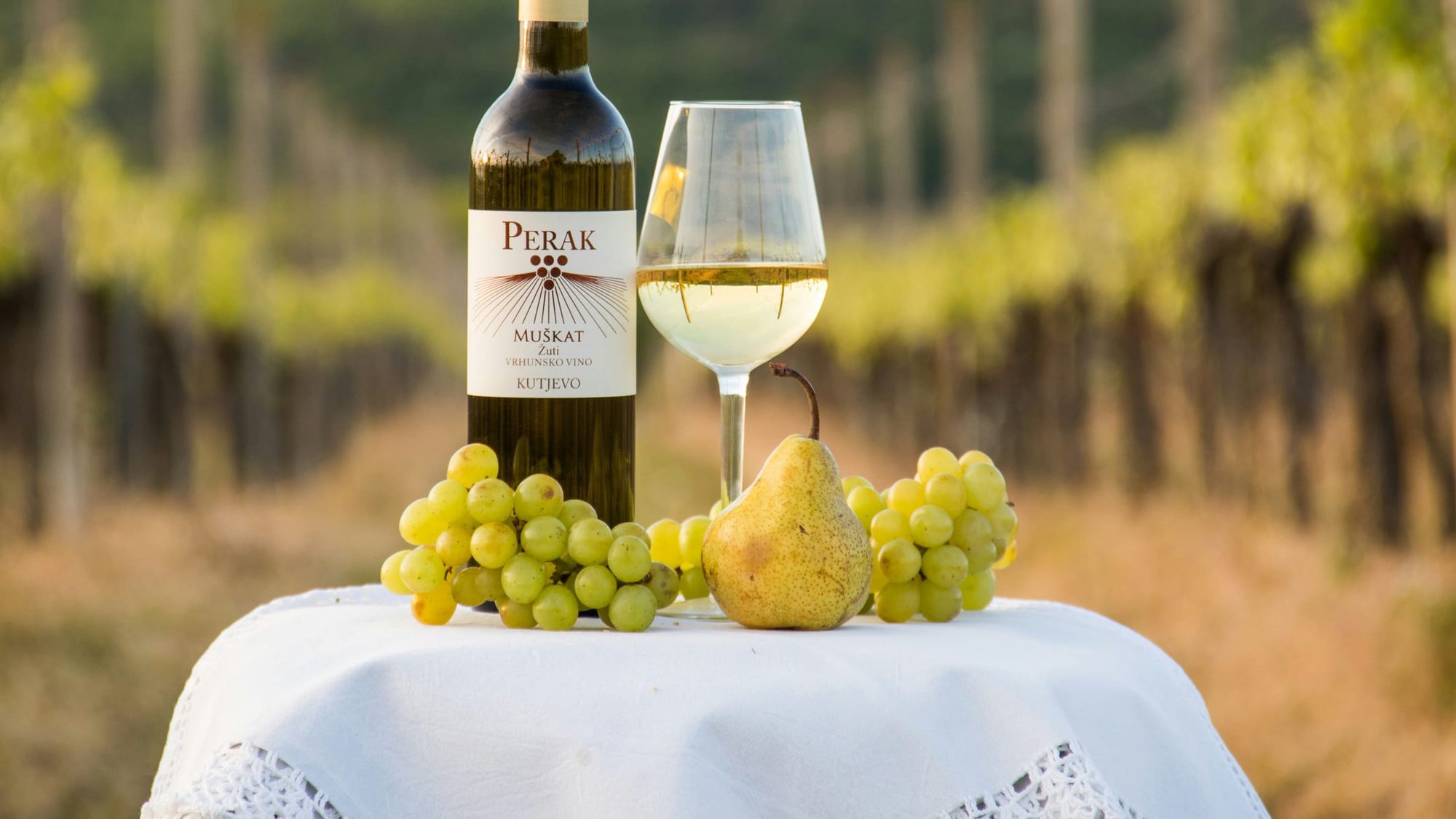 A Dalmatian winery, evoking the wine culture behind Šibenik's Michelin dining scene